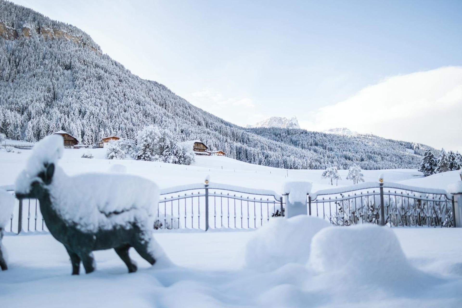 Alpin Boutique Villa Gabriela - Adults Only Castelrotto Exterior photo